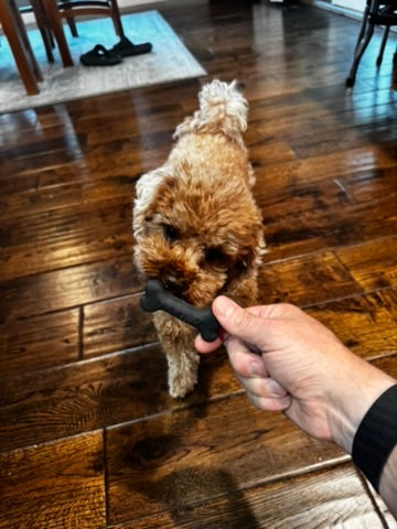 Small Bone Toy – The Eddi