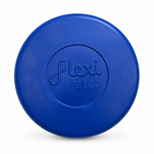 Frisbee Toy